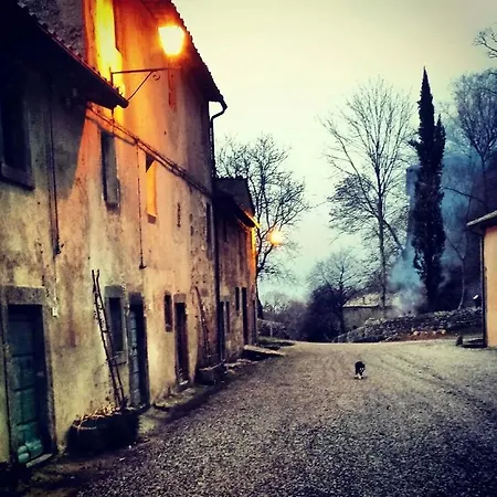 L'amazzone *