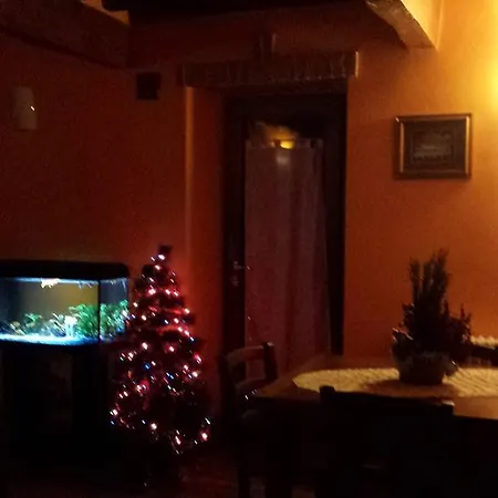 L'amazzone
